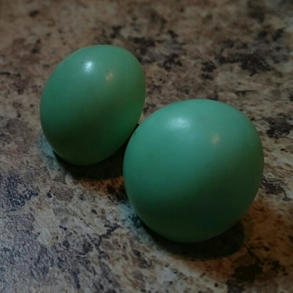 Robin Egg Earrings - Picture 5 of 5